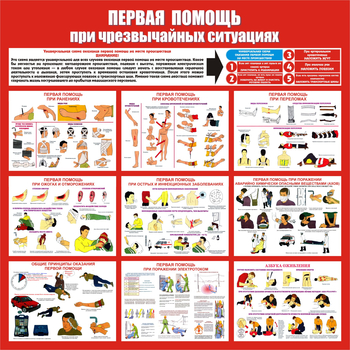 С20 Стенд первая помощь (при чрезвычайных ситуациях) (1000х1000 мм, пластик ПВХ 3мм, Прямая печать на пластик) - Стенды - Стенды по первой медицинской помощи - магазин "Охрана труда и Техника безопасности"
